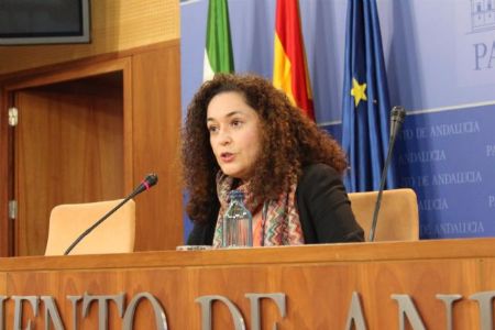 La portavoz parlamentaria de Adelante Andaluca, Inmaculada Nieto, en rueda de prensa