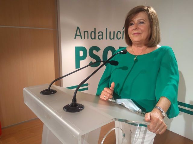 La parlamentaria andaluza Mara Jos Snchez Rubio