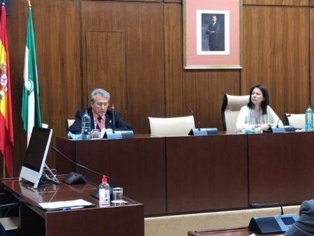 El presidente del Consejo Andaluz de Colegios de Mdicos en la Comisin de Estudio sobre la recuperacin de Andaluca a causa del Covid-19