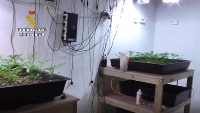 La Guardia Civil desmantela una organizacin criminal dedicada al cultivo y distribucin de marihuana en Con