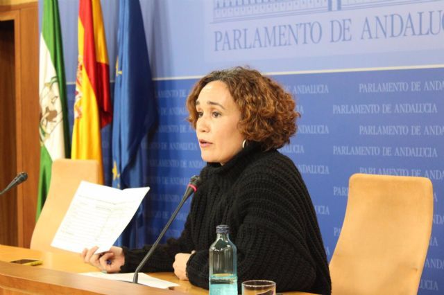 La parlamentario de Adelante Andaluca Ana Naranjo