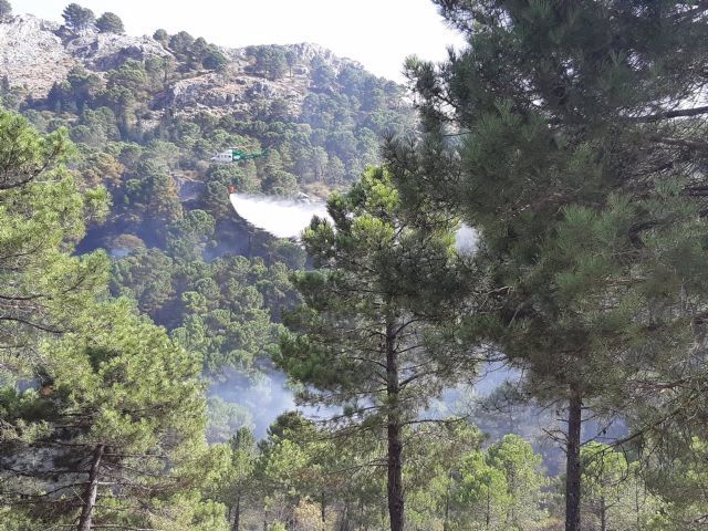 Incendio forestal en el Puerto del Boyar en Grazalema