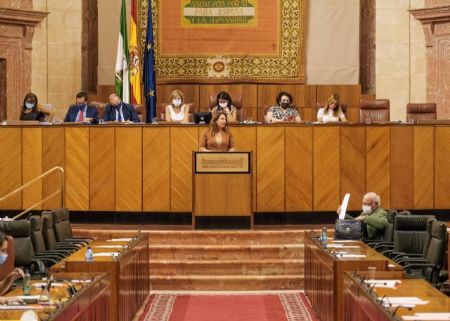 La consejera de Agricultura, Ganadera, Pesca y Desarrollo Sostenible, Carmen Crespo, comparece en el Pleno del Parlamento andaluz