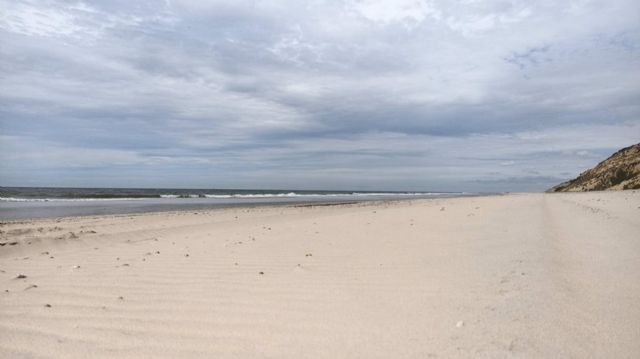 Primer plano de la playa tras las tareas de limpieza para retirar los restos de mancha de hidrocarburo