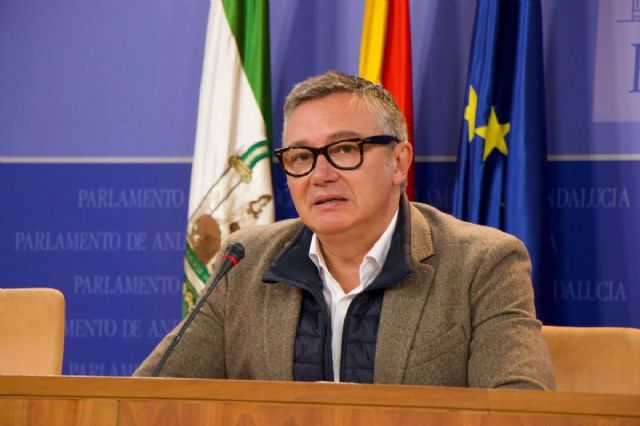 El portavoz de Vox en el Parlamento de Andaluca, Manuel Gavira, este jueves en rueda de prensa
