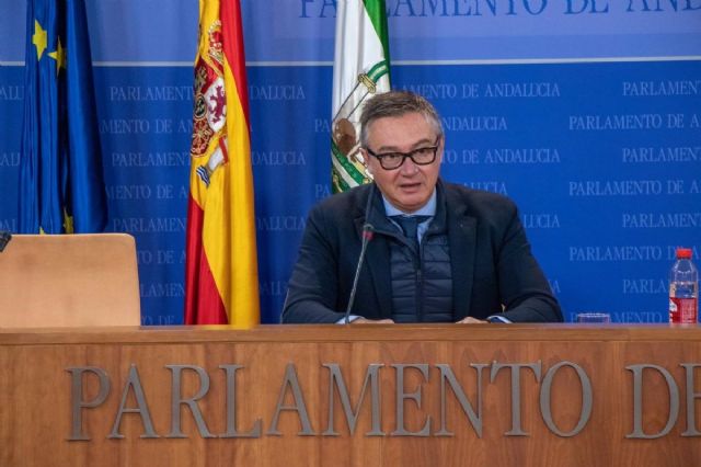El portavoz de Vox en el Parlamento de Andaluca, Manuel Gavira