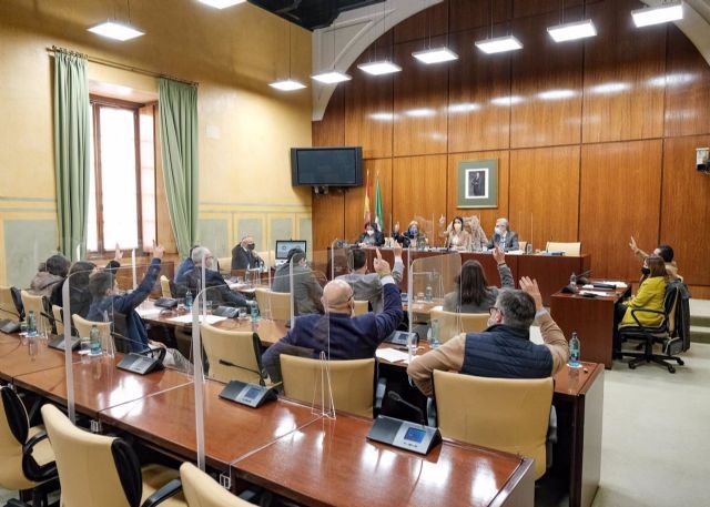 Reunin de la Diputacin Permanente del Parlamento de Andaluca, este mircoles