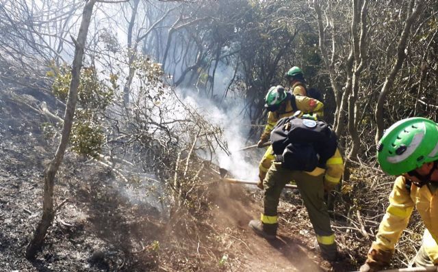 Efectivos del Plan Infoca trabajando en un incendio en la provincia de Almera