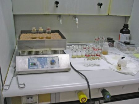 Mineralizacin de las muestras, en un laboratorio de la Estacin Experimental del Zaidn