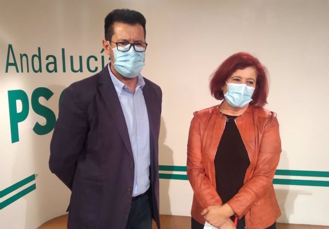 El senador Alejandro Zubeldia y la diputada Elvira Ramn, ambos del PSOE