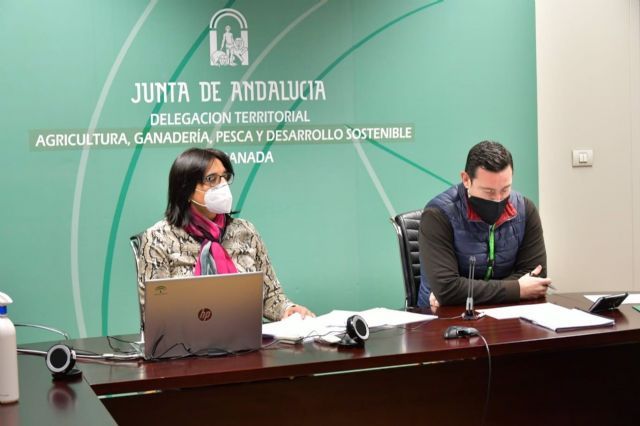 La delegada de Agricultura de la Junta en Granada, Mara Jos Martn, informa de las ayudas al sector agrario afectado por la Covid-19