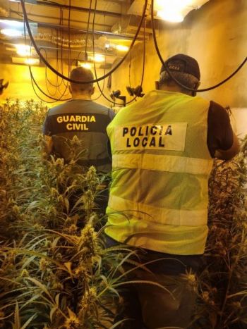 Plantacin de marihuana en Jerez en una imagen de archivo