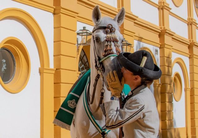 Jinete y caballo de la Real Escuela de Arte Ecuestre en Jerez