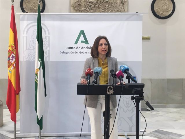 Patricia Navarro, delegada del Gobierno andaluz en Mlaga, en rueda de prensa