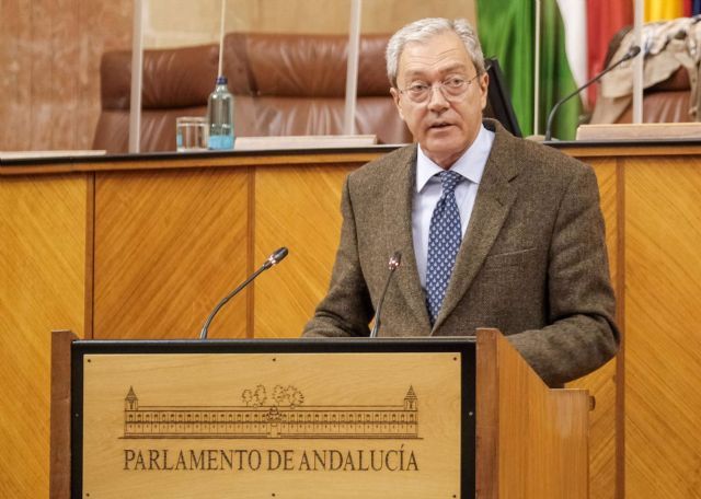 El consejero de Transformacin Econmica, Rogelio Velasco, este mircoles en el Pleno del Parlamento
