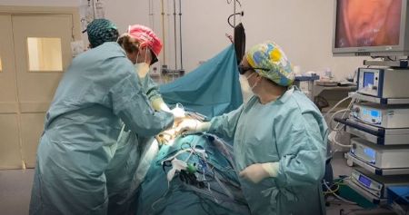 Operacin transplante reanl cruzado