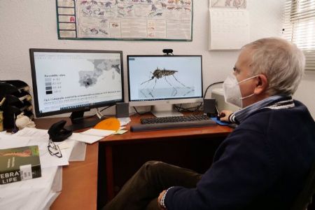 Investigadores de la UMA desarrollan mapas de riesgo que podran predecir expansin del virus del Nilo en Europa un ao antes