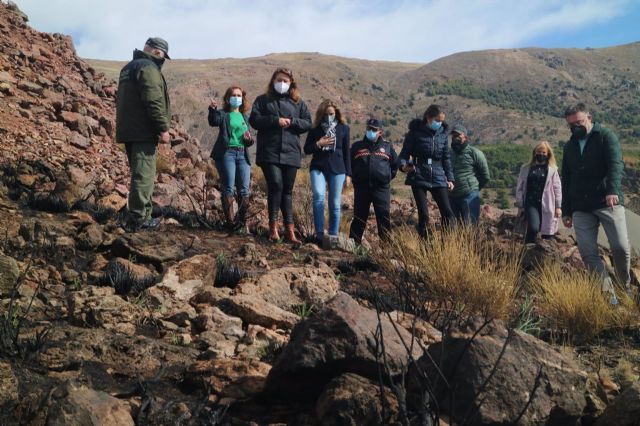 La consejera de Agricultura visita la zona afectada por el incendio forestal de Castala en Berja (Almera)