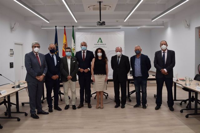 Andaluca pide al Gobierno central cambios en la gestin del Ingreso Mnimo Vital