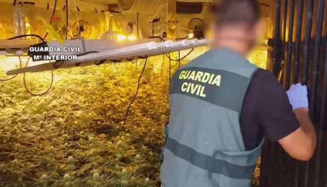 Detenidos los ocho miembros de un grupo dedicado al cultivo de marihuana en la provincia de Mlaga