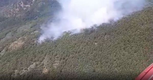 Incendio forestal en Genalguacil