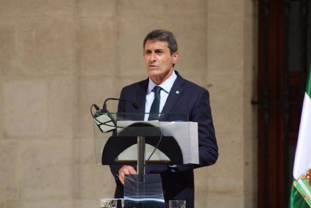 El delegado del Gobierno en Andaluca, Pedro Fernndez