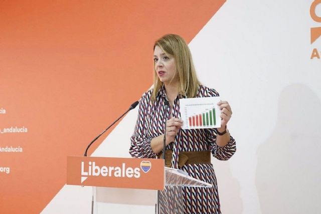 La secretaria de Programas de Cs en Andaluca, Elena Sumariva, este lunes en rueda de prensa