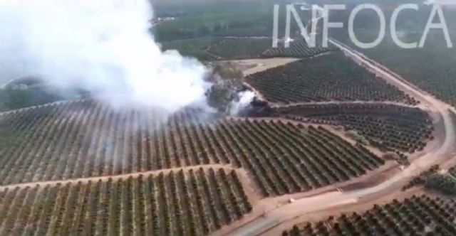 Declarado un incendio forestal en el paraje El Palmitero cerca de Cantillana (Sevilla)