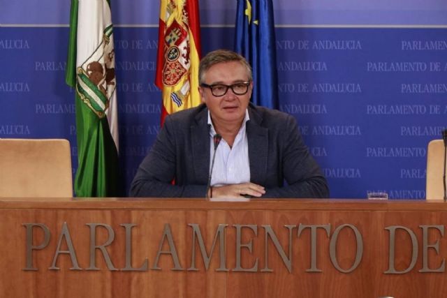 El portavoz parlamentario de Vox en Andaluca, Manuel Gavira