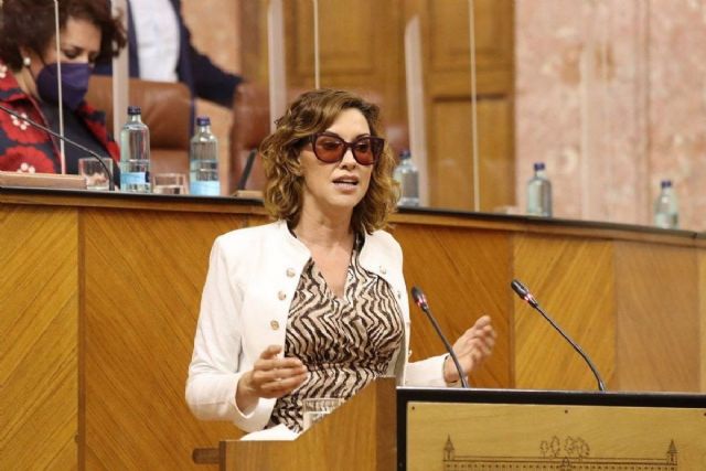 La parlamentaria andaluza de Ciudadanos (Cs) Mercedes Lpez