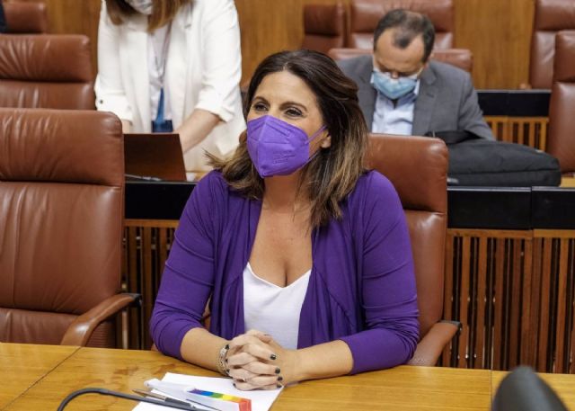 La portavoz del Grupo Socialista en el Parlamento andaluz, ngeles Frriz