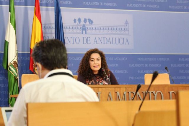 La portavoz de Unidas Podemos por Andaluca en el Parlamento de Andaluca, Inmaculada Nieto, este mircoles en rueda de prensa