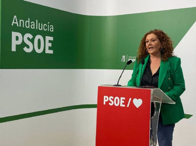 Araceli Maese en rueda de prensa