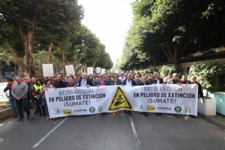 Manifestacin del sector agrcola de Almera el 19 de noviembre de 2019 por la crisis de precios en el campo