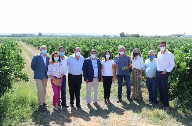 El secretario general de Agricultura, Ganadera y Alimentacin, Vicente Prez, en la presentacin del aforo de produccin de ctricos 2021-2022 en Lora del Ro
