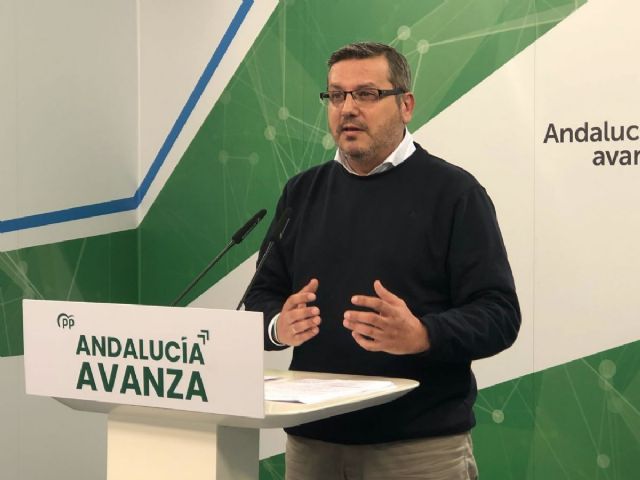 El vicesecretario de Organizacin del PP de Andaluca, Alejandro Romero