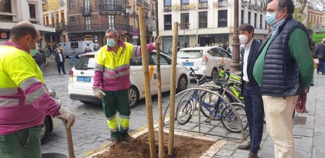 Dos trabajadores plantan rboles en Sevilla
