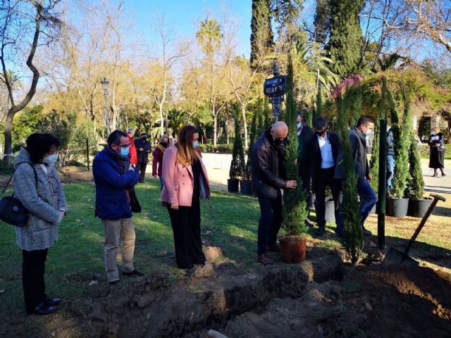 El alcalde de Sevilla, Antonio Muoz, participa en el inicio de la plantacin de 400 cipreses en la Glorieta de Ofelia Nieto del Parque de Mara Luisa