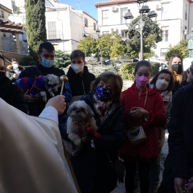 Las mascotas acuden a la tradicional bendicin ante San Antn