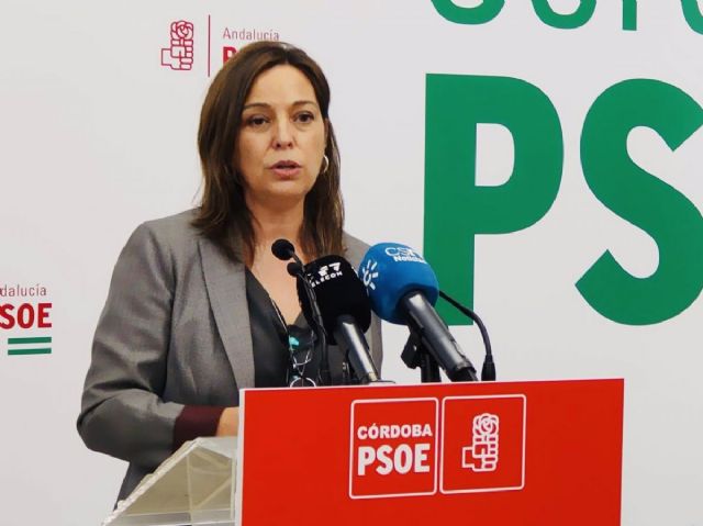 La secretaria de Poltica Municipal de Grandes Poblaciones del PSOE de Andaluca, Isabel Ambrosio