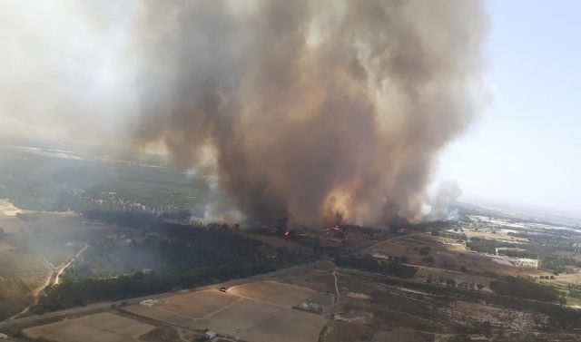 Panormica del incendio de Bonares (Foto: Plan Infoca)