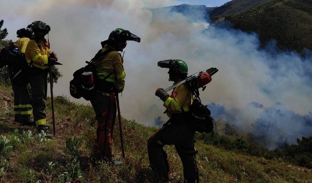 Efectivos del Plan Infoca trabajan en labores de extincin en el incendio de Pujerra