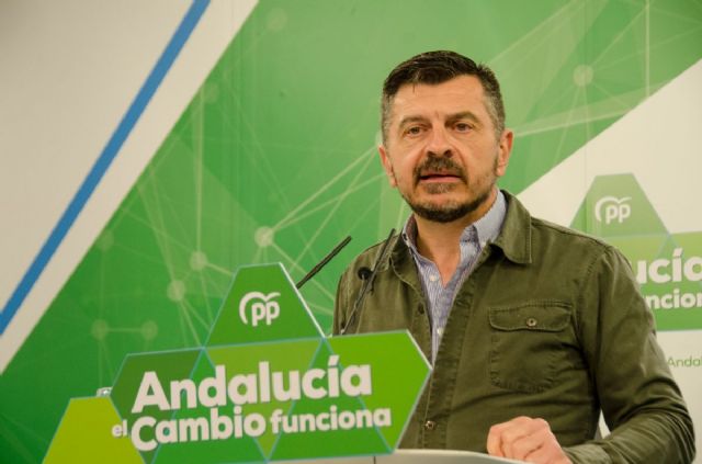 El vicesecretario general del PP de Andaluca, Toni Martn