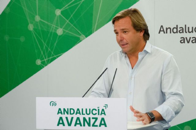 El secretario general del PP de Andaluca, Antonio Repullo