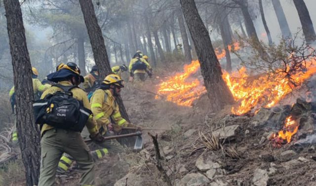 Bomberos en la extincin del incendio de Los Gujares