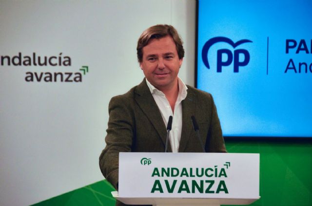 El secretario general del <strong>PP</strong> de <strong>Andaluca</strong>, Antonio Repullo