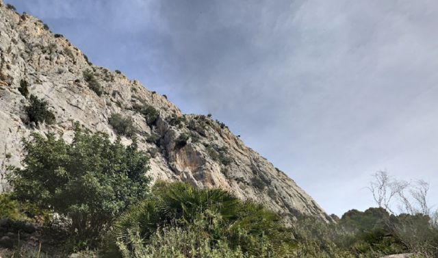 Zona de escalada en El Chorro, lora